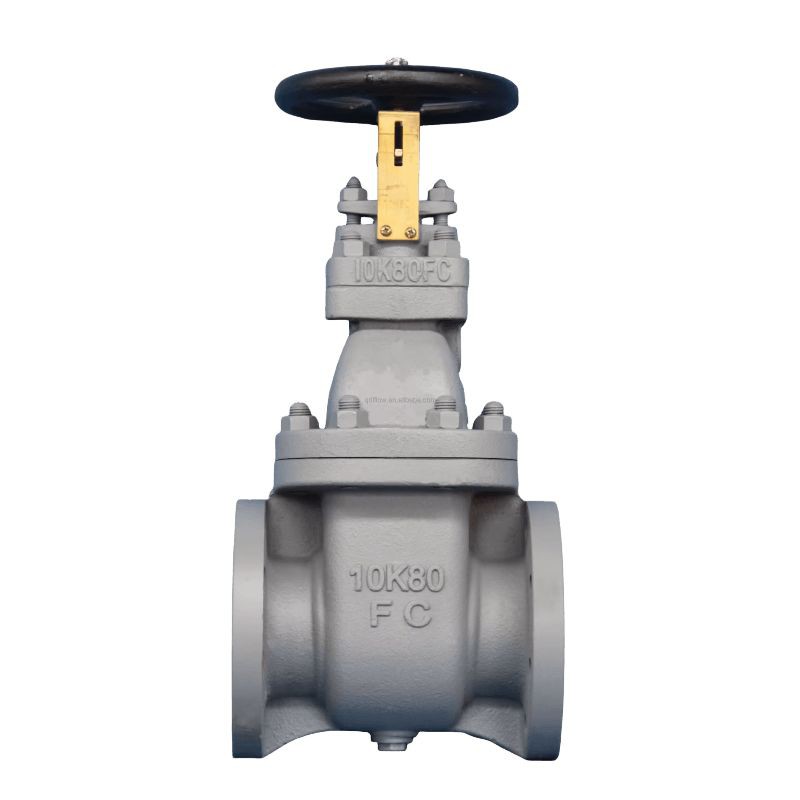 BS 5152 PN16 CAST IRON GLOBE VALVE